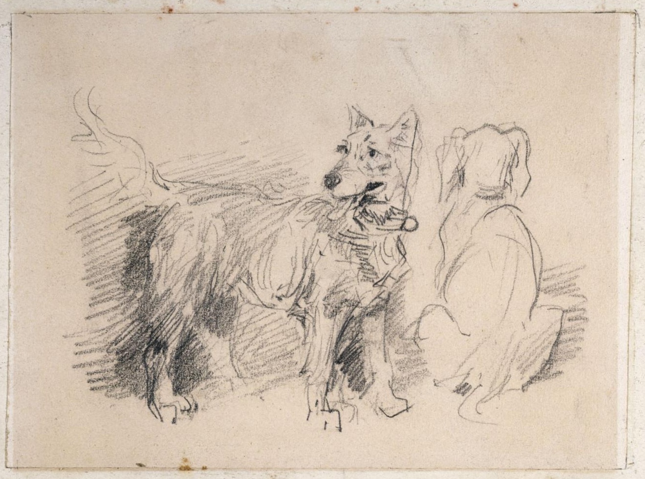 Les chiens de Georges Sand dessinés par Eugène Lambert en 1870 ou 1871, collection du Musée de la vie romantique, Paris